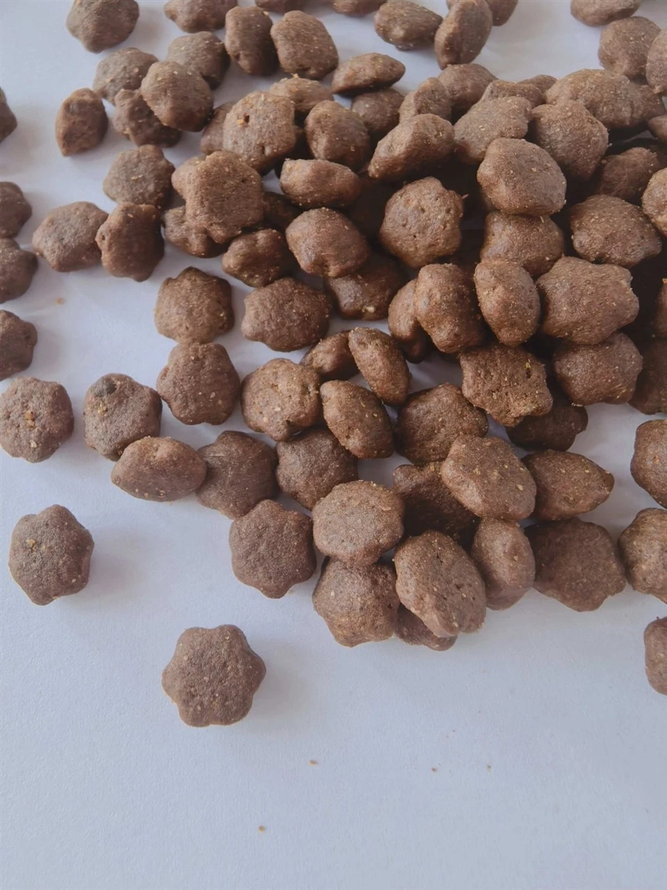 Dog Food For Pet suppliers