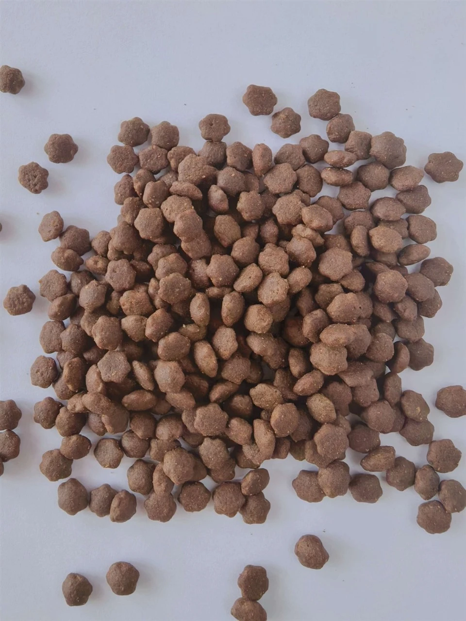 Dog Food For Pet factory