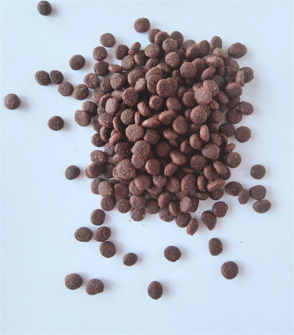 Pet Cat Food