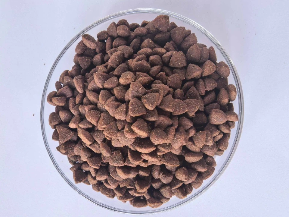 Pet Cookie high quality
